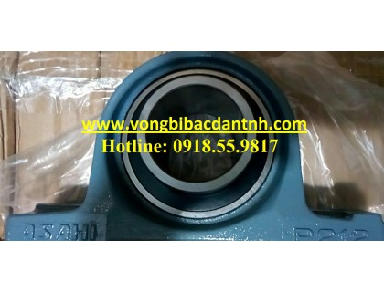 GỐI ĐỠ UCP213 ASAHI